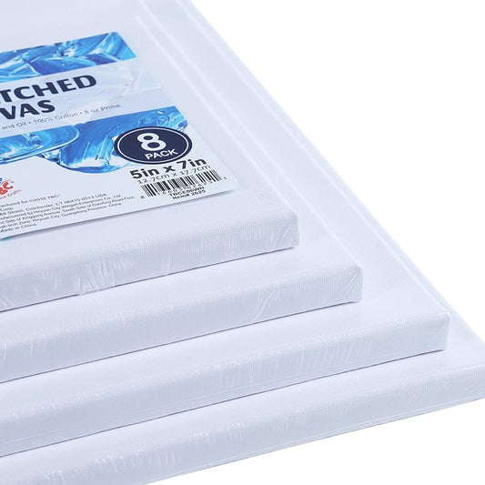 COMBO - Beginner Value Pack Stretched Canvas Panel with Acrylic Paints Set