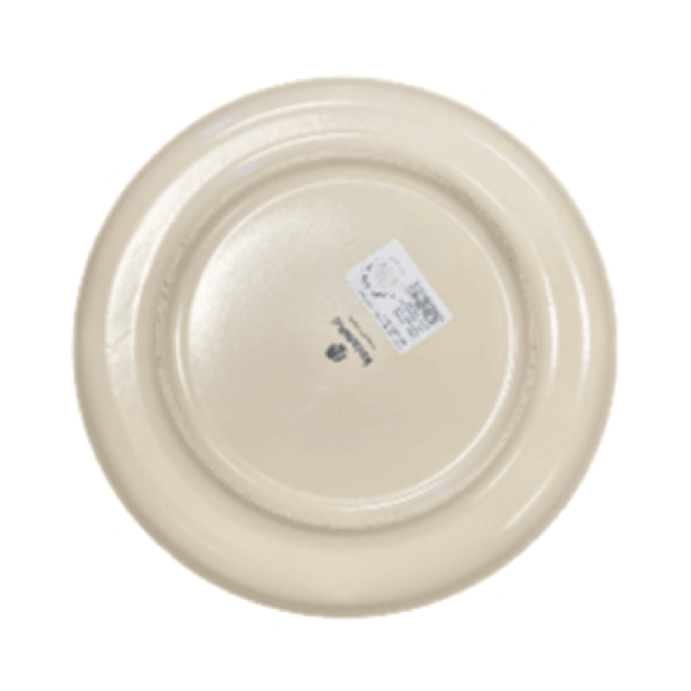 Round 9.85" Dinner Plate - Matte Cream