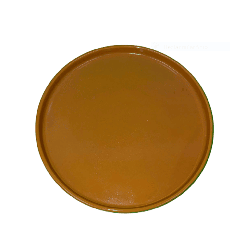 8.25" Round Dinner Plate - Orange