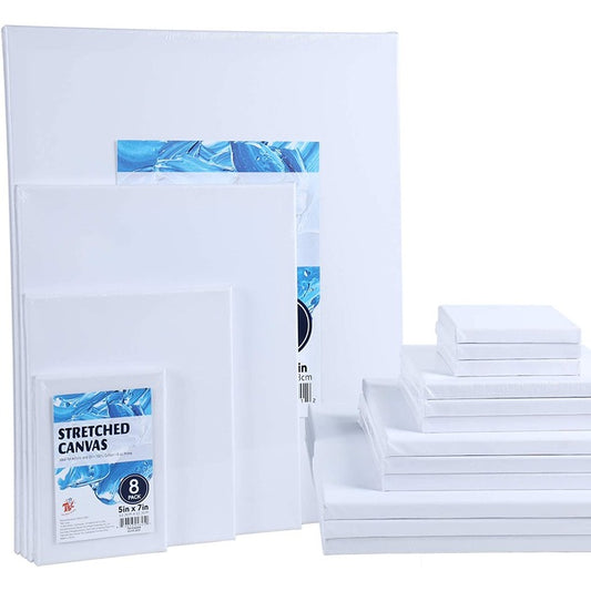 COMBO - Beginner Value Pack Stretched Canvas Panel with Acrylic Paints Set